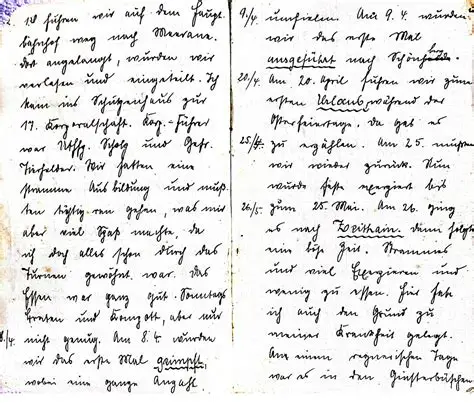 Diaries and personal notes
